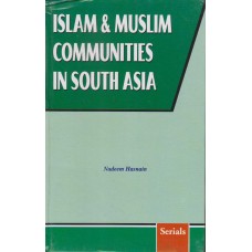 Islam and Muslim Communities in South Asia 